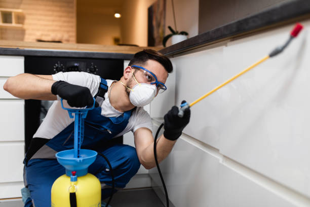 Best Best Pest Control Companies  in Wilder, ID