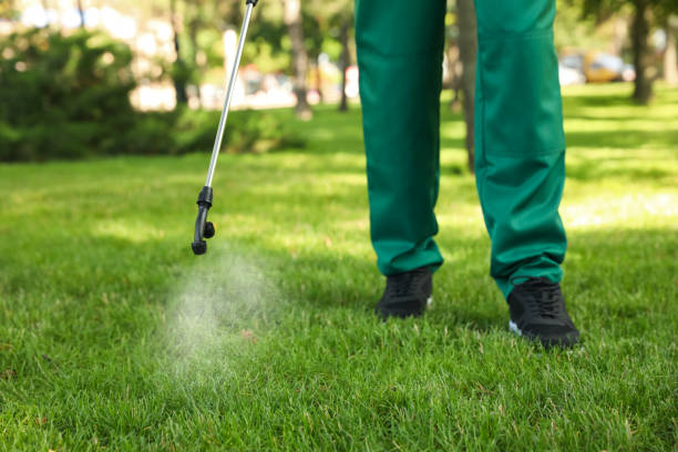 Best Pest Removal Services  in Wilder, ID