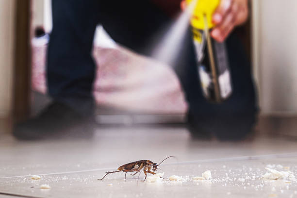 Pest Prevention Services in Wilder, ID