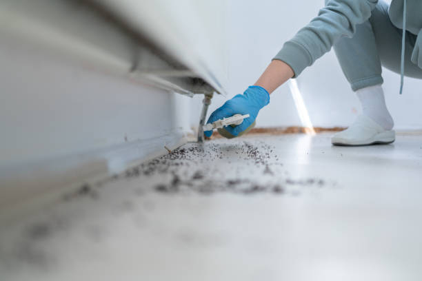Best Wildlife Control Services  in Wilder, ID