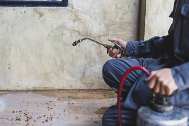 Best Wasp Removal Services  in Wilder, ID